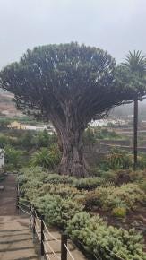 Foto 1 de 6