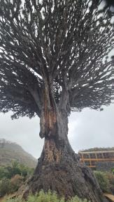 Foto 2 de 6