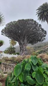 Foto 6 de 6