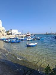 Photo {1} sur {2}