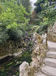 Foto 3 de 5