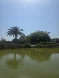Foto 1 de 3