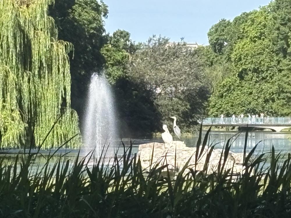 Foto 1 di 5