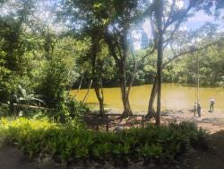 Foto 4 de 5