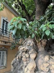 Foto 4 de 6
