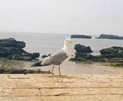 Foto 1 de 3