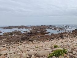 Foto 8 de 8