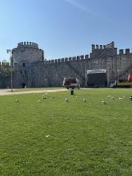 Foto 2 de 3
