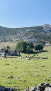 Foto 4 de 4