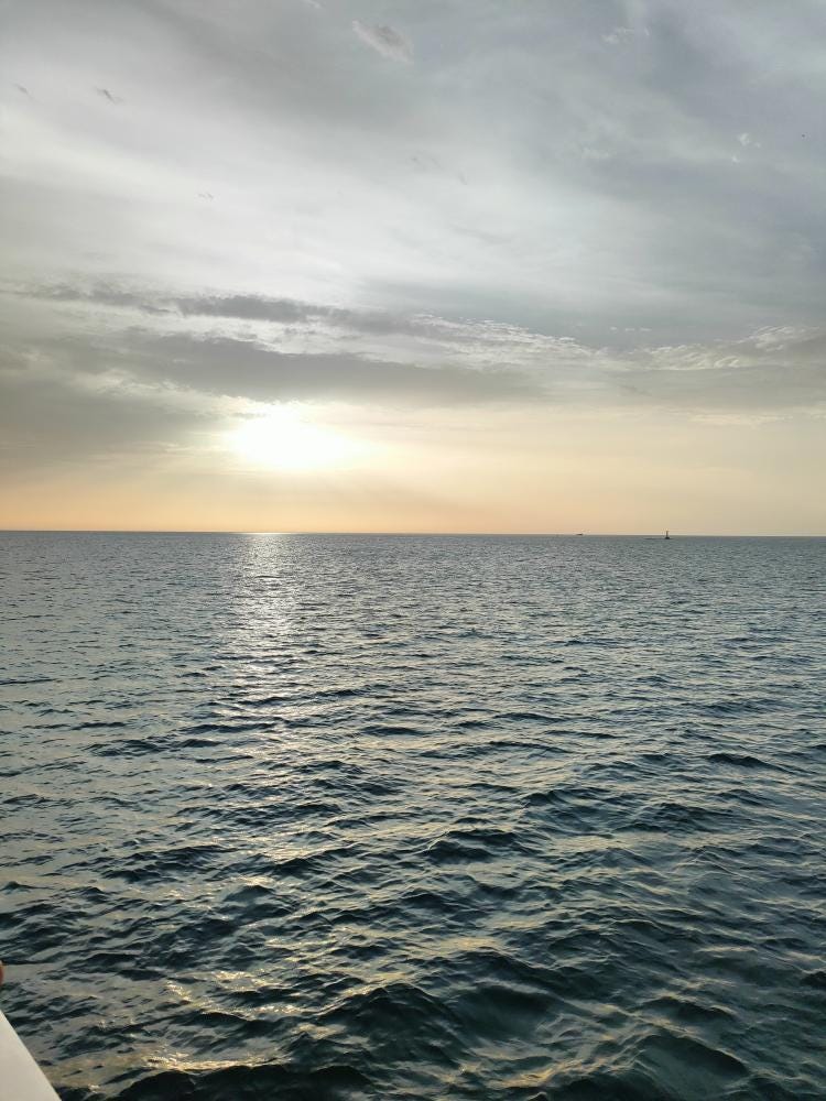 Foto 1 di 3