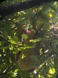 Foto 1 de 3