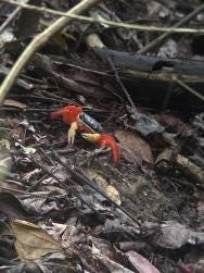 Foto 2 de 3