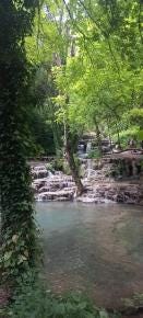 Foto 6 de 7