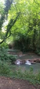 Foto 7 de 7