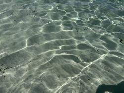 Photo {1} sur {2}