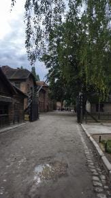 Foto 3 de 3