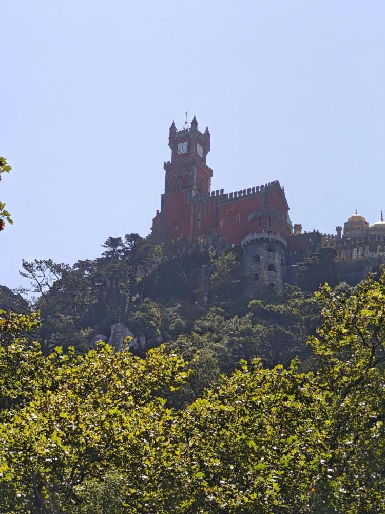 Foto 1 de 2