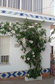 Foto 1 de 1