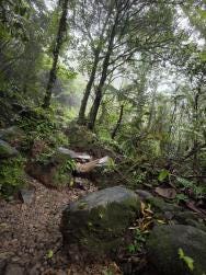Foto 5 de 6