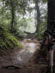 Foto 6 de 6
