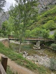 Foto 2 de 4