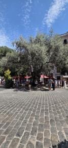 Foto 5 de 8
