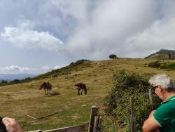 Foto 2 de 3