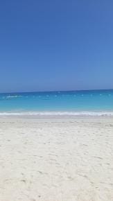 Image {1} of {2}
