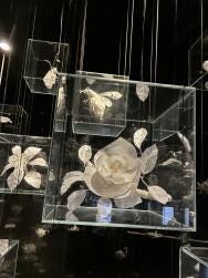 Foto 2 de 6