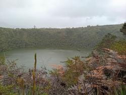 Foto 1 de 1