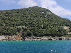 Foto 3 de 3