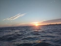 Foto 1 de 3