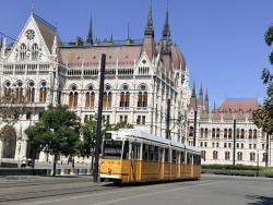 Foto 3 de 7