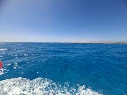 Foto 1 de 2