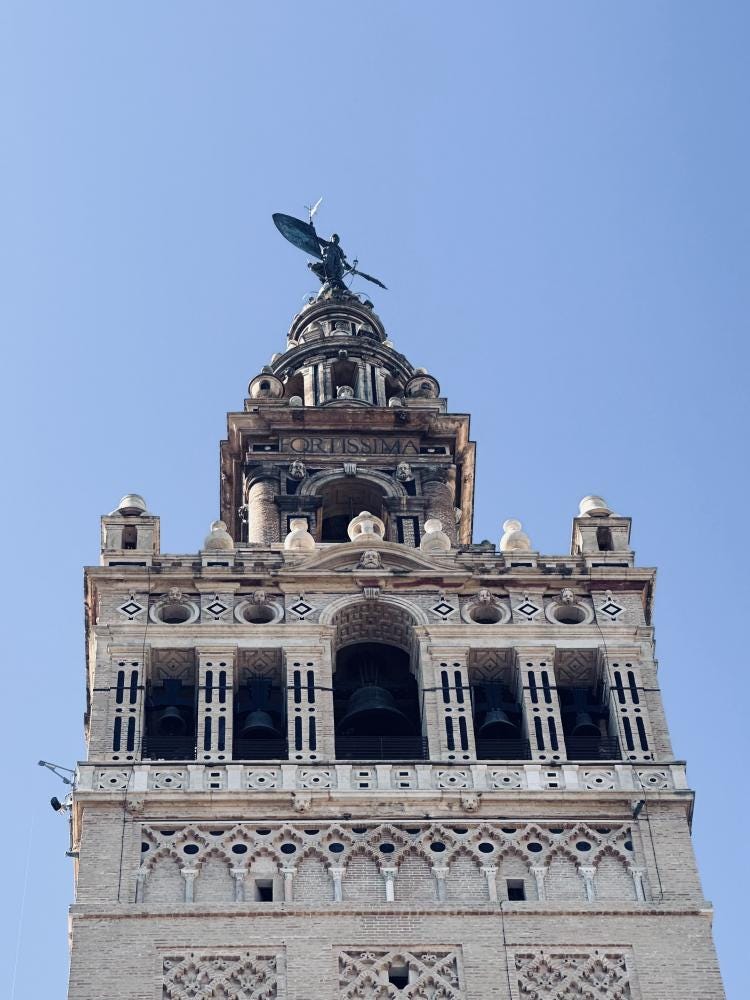 Foto 6 de 6