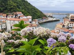 Foto 3 de 5