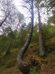 Foto 9 de 9