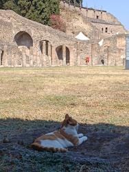 Foto 1 de 1