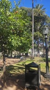 Foto 2 de 2