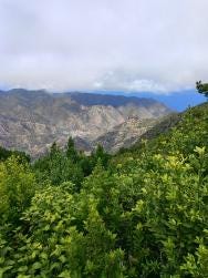 Foto 2 de 3