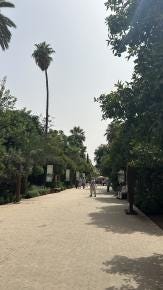 Foto 4 de 5