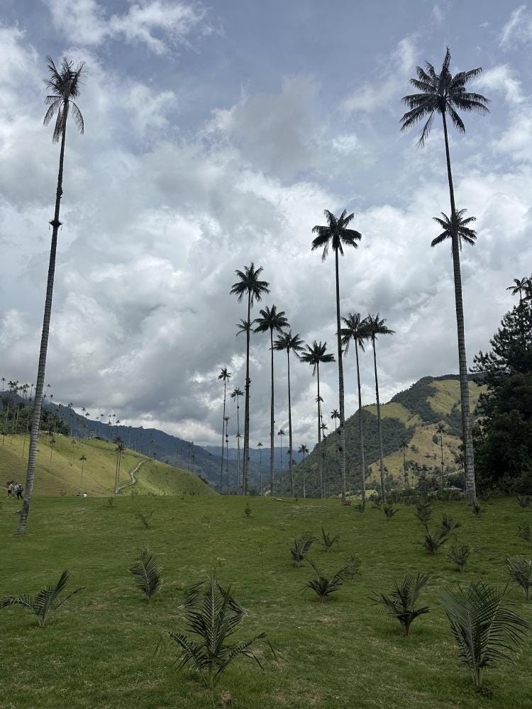 Foto 1 de 6
