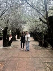 Foto 1 de 2