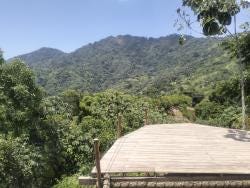 Foto 1 de 2