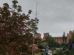 Foto 1 de 1