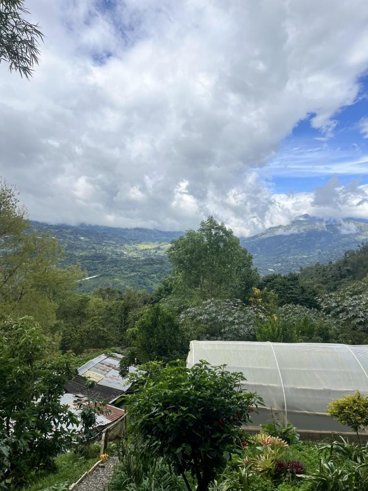 Foto 1 de 1