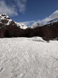Foto 1 de 4