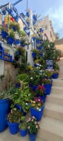 Foto 3 de 9