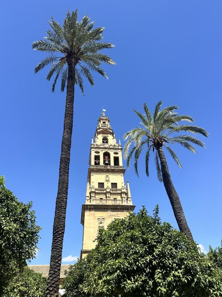 Foto 4 de 4