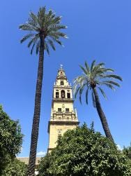 Foto 4 de 4